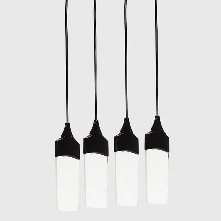 Светильник BLS 17247 Dragonfly