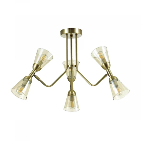 Потолочная люстра Lumion Ginger 4428/6C