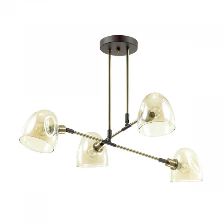 Подвесная люстра Lumion Noah 4434/4C