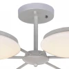 Потолочная светодиодная люстра F-Promo Ledante 2475-6P