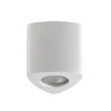 Потолочный светильник Odeon Light Aquana 3574/1C