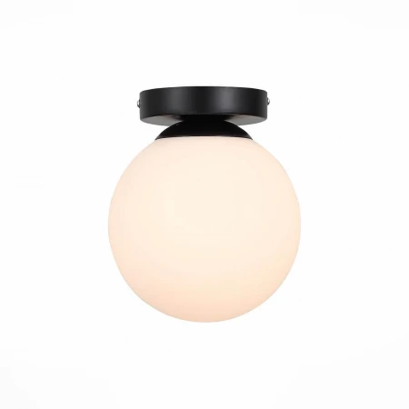 Настенно-потолочный светильник ST Luce Acini SL717.401.01