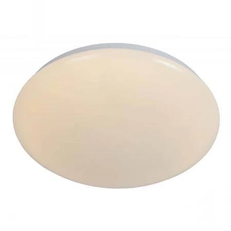 Потолочный светодиодный светильник Lucide Bianca-Led 79164/19/61